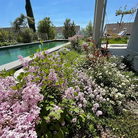 Apartment Bodensee-apartment Seesucht No 86 Bodman-Ludwigshafen