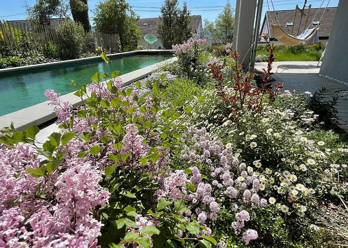 شقة Bodensee-apartment Seesucht No 86 بودمان لودفيغسهافن